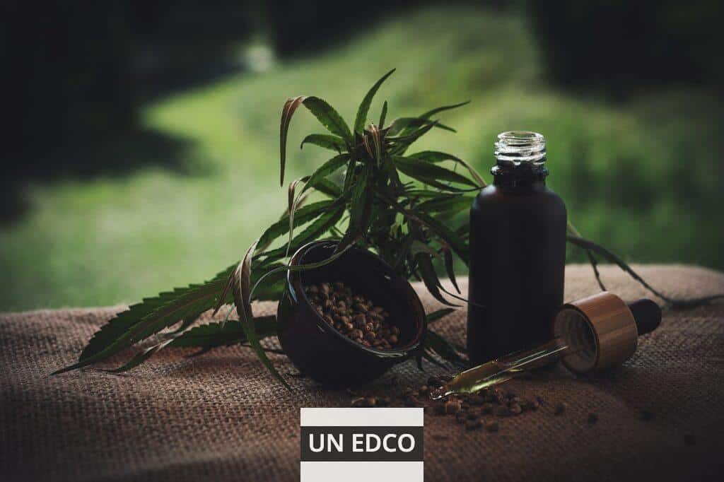 Legalidad del CBD en Distintos países de Europa 