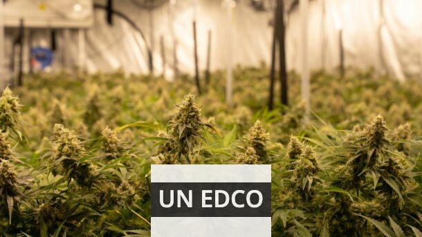 Legalidad del CBD en Distintos países de Europa (Portugal)